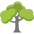 Spring Tree Trimming