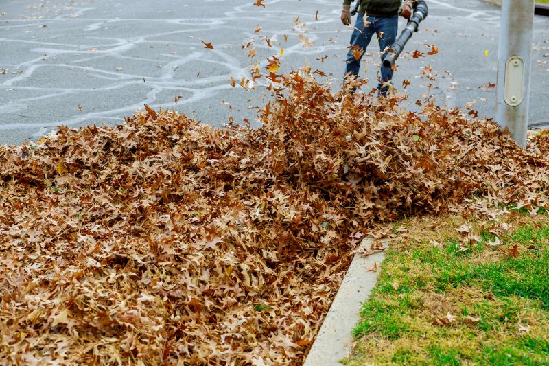 Leaf Removal at Work